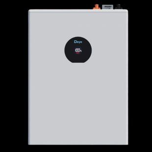 Акумуляторна батарея DEYE SE-F5 Pro-C LiFePO4 LV 51.2v 100AH 5.12kWh 3047113369 фото